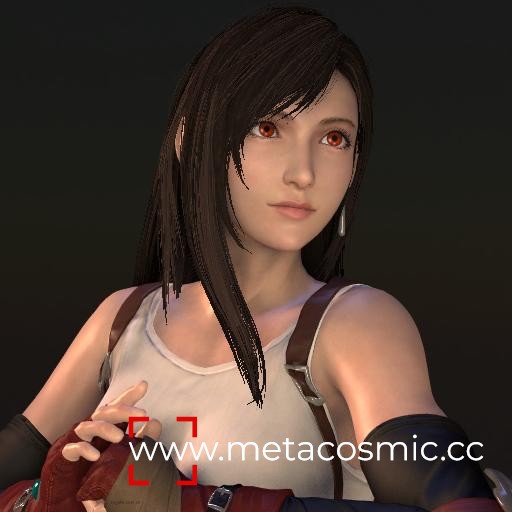 OniEkohvius - Tifa (Classic).jpg